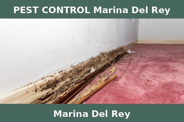 PEST CONTROL Marina Del Rey
